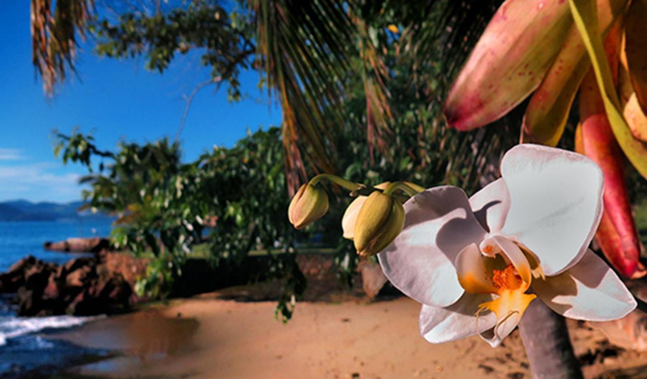 Paraty Marin Villa Dış mekan fotoğraf